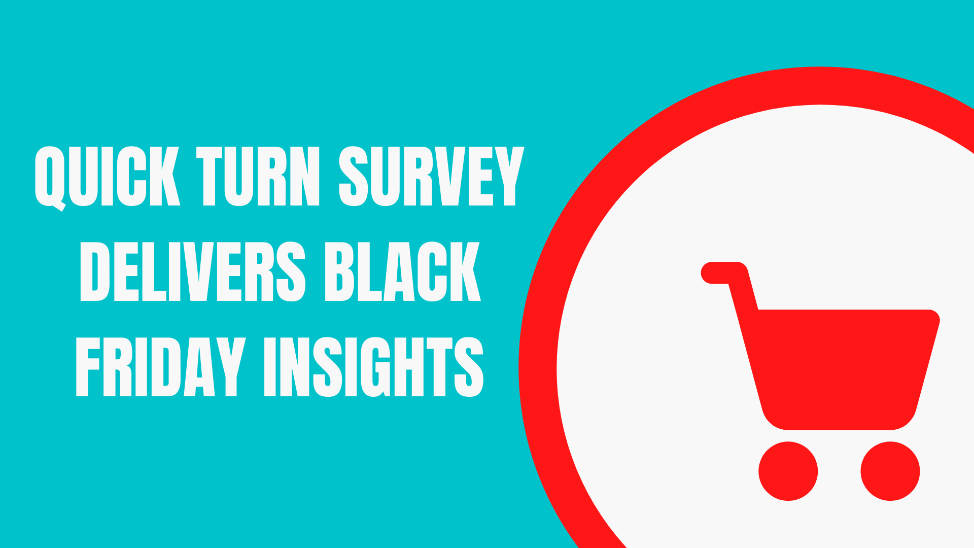 Quick Turn Survey Delivers Black Friday Insights